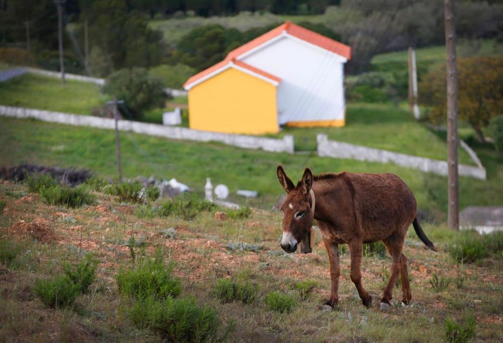 Casa Amado, Aldeia Da Pedralva Villa Vila do Bispo Eksteriør billede